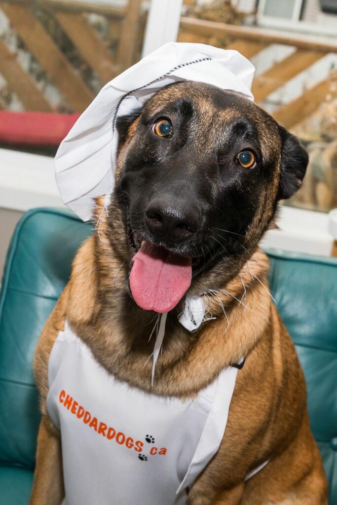 Maua, a CheddarDogs Taste Tester